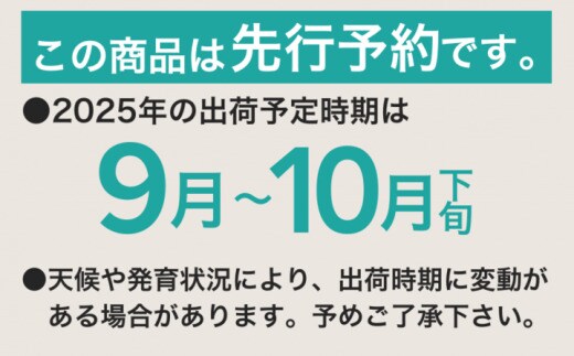 和食器 渕金ピンク吹 梅型天皿 37H210-11 まごころ第37集 和食器 渕金ピンク吹 梅型天皿 37H210-11 まごころ第37集