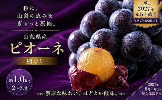 【2027年先行予約】山梨県産 種なしピオーネ 約1.0kg・2～3房