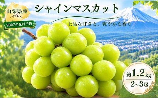 【2027年 先行予約】山梨県産 シャインマスカット 約1.2kg (２房～3房)
