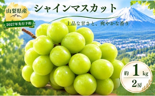 【2027年 先行予約】山梨県産 シャインマスカット 約1.0kg ２房【アズールヤード】 | フルーツ スイーツ 贈答用 プレゼント ギフト