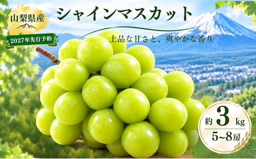 【2027年先行予約】 シャインマスカット約3.0kg（5~8房） 【アズールヤード】 | フルーツ スイーツ 贈答用 プレゼント ギフト