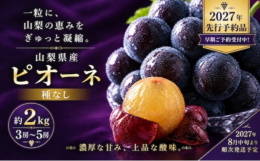 【2027年先行予約】山梨県産 種なしピオーネ 約2.0kg・3～5房
