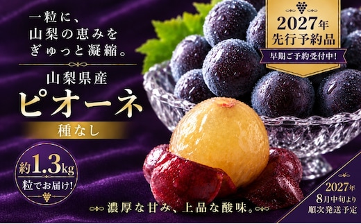 【2027年先行予約】山梨県産 種なしピオーネ 粒 約1.3kg