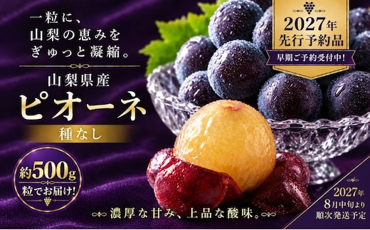【2027年先行予約】山梨県産 種なしピオーネ 粒 約500g