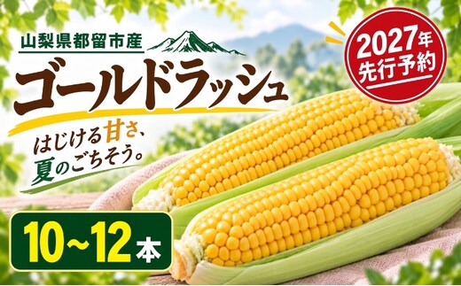 【2027年 先行予約】山梨県都留市産 ゴールドラッシュ 10～12本 ｜新鮮 朝採れ もぎたて発送 甘い とうもろこし トウモロコシ 産地直送 送料無料【炭香ファーム】