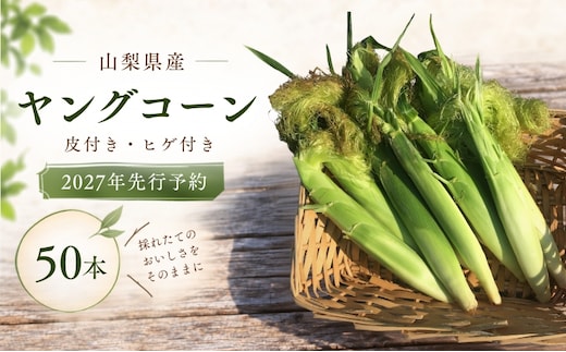 【2027年 先行予約】もぎたて発送！山梨県産 ヤングコーン 50本【栄養たっぷりヒゲ付き！】