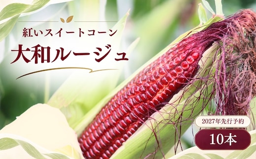 【2027年先行予約】紅いスイートコーン 大和ルージュ (10本)