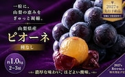 【2027年先行予約】山梨県産 種なしピオーネ 約1.0kg・2～3房