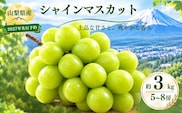 【2027年先行予約】　シャインマスカット約3.0kg（5~8房）　【アズールヤード】 | フルーツ スイーツ 贈答用 プレゼント ギフト