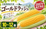 【2027年 先行予約】山梨県都留市産 ゴールドラッシュ 10～12本 ｜新鮮 朝採れ もぎたて発送 甘い とうもろこし トウモロコシ 産地直送 送料無料【炭香ファーム】