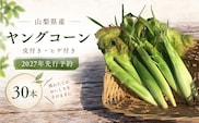 【2027年 先行予約】もぎたて発送！山梨県産 ヤングコーン 30本【栄養たっぷりヒゲ付き！】｜朝採れ もぎたて発送 ヒゲ付き 甘い 国産 とうもろこし トウモロコシ 野菜 産地直送 送料無料【炭香ファーム】