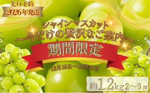 【期間限定】【数量限定】 シャインマスカット スペシャルサンクス約1.2kg（2～3房）【2026年先行予約】