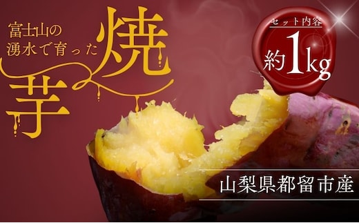 あま～い！富士山の湧水で育った焼きいも【アズールヤード】 サツマイモ さつまいも スイーツ 贈答用 プレゼント ギフト