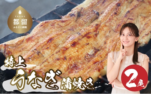 うなぎの蒲焼（半カット）2尾 380g以上