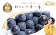 【2026年 先行予約】山梨県産　種なしピオーネ2~3房(約1.0Kg）