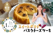 スイートポテトチーズケーキ【アズールヤード】｜ スイートポテト チーズケーキ サツマイモ さつまいも スイーツ 贈答用 プレゼント ギフト