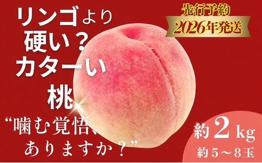【2026年 先行予約】日本一の産地山梨県産 朝採れカターい約桃２Kg（5～8玉）