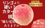 【2026年　先行予約】日本一の産地山梨県産　朝採れカターい約桃２Kg（5～8玉）
