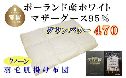 【ポーランド産マザーグース95%】羽毛肌布団 220×210cm クィーン【ダウンパワー470】