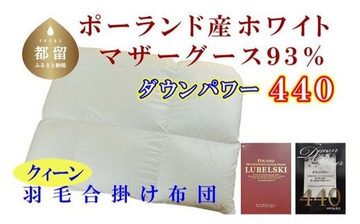 【合掛け布団】ポーランド産マザーグース93％ 羽毛合掛け布団（クイーン：220cm×210cm）（ダウンパワー440）【サカキュー】｜羽毛布団 羽毛ふとん 羽毛掛けふとん 合い掛け布団 合い掛けふとん