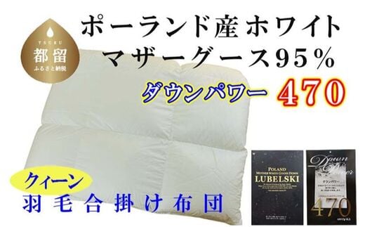 羽毛合い掛け布団ポーランド産マザーグース９５％ 合掛け クィーン220×210cm dp470