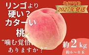 【2027年　先行予約】日本一の産地山梨県産　朝採れカターい桃 約２Kg（5～8玉）