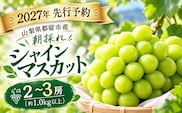【2027年 先行予約】山梨県都留市産 朝採れ シャインマスカット ２~3房（約1.0kg以上）