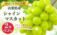 【2027年 先行予約】 山梨県産 シャインマスカット ２房 (1.2kg)|先行予約 シャイン ブドウ 葡萄 ぶどう マスカット フルーツ 果物 贈答 プレゼント  山梨
