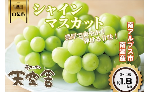 ＜2026年発送先行予約＞南アルプス天空舎のシャインマスカット 約1.8kg ALPAB043