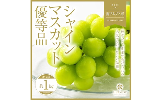 ＜2026年発送分先行予約＞山梨県南アルプス市産シャインマスカット 優等品 約1ｋｇ 2～3房 ALPAH008