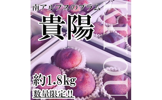 ＜2026年発送分先行予約＞山梨県南アルプス市産 高級すもも 貴陽 約1.8ｋｇ 6～9玉入り ALPAH019