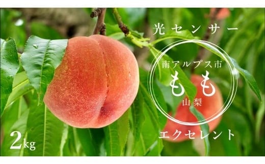 ＜2026年発送先行予約＞光センサー桃「エクセレント」約2kg ALPAA013