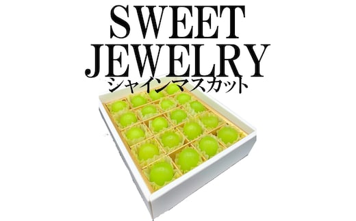 ＜2026年発送分先行予約＞山梨県南アルプス市産 シャインマスカット 約300g（20粒） 粒ギフト SWEET JEWELRY ALPAH014
