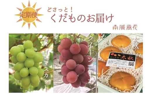 【通年受付】年３回フレッシュフルーツ定期便（クイーンニーナ、シャインマスカット、柿） ALPAJ015
