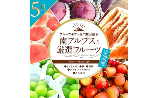 ＜2026年発送先行予約＞フルーツギフト専門店が選ぶ南アルプスの厳選フルーツ定期便 全5品種（さくらんぼ・桃・貴陽・シャインマスカット・あんぽ柿） ALPAH020