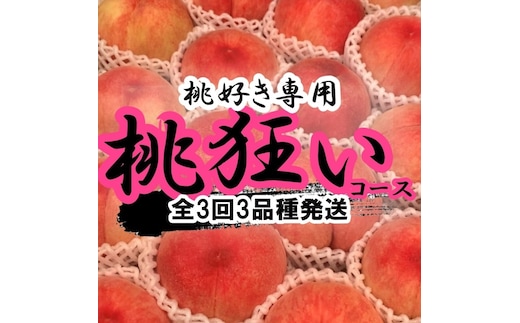 ＜2026年発送分先行予約＞山梨県南アルプス市産 桃狂い 【旬の桃3種】 旬を迎えた順から発送 【定期便 約1ｋｇ 全3回】 ALPAH022