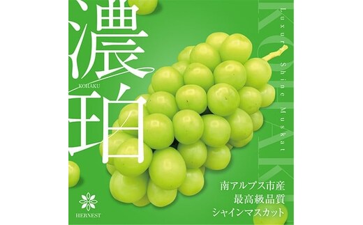 ＜2026年発送分先行予約＞山梨県南アルプス市産シャインマスカット 濃珀【～KOHAKU～】約1.8ｋｇ 3～5房入り ALPAH026