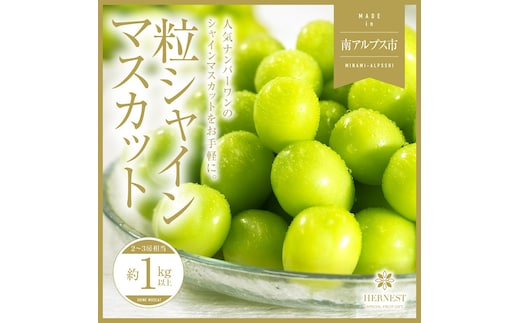 ＜2026年発送分先行予約＞山梨県南アルプス市産シャインマスカット 粒 1ｋｇ ALPAH044