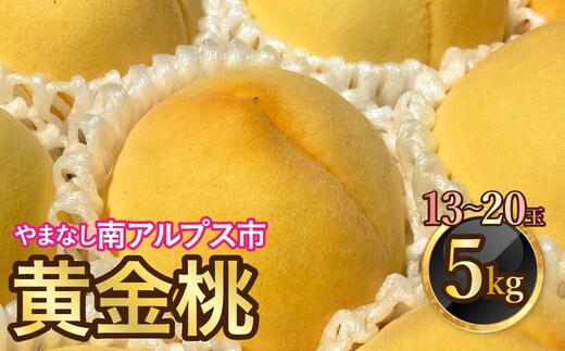 ＜2026年発送分先行予約＞山梨県南アルプス市産 高糖度 黄金桃 【約5ｋｇ 13～20玉】 ALPAH046
