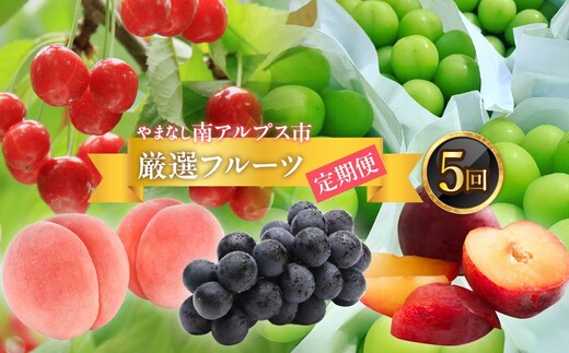 ＜2026年発送分先行予約＞フルーツギフト専門店が選ぶ南アルプスの厳選フルーツ定期便 全5品種（さくらんぼ・桃・貴陽・黒ぶどう・シャインマスカット） ALPAH047