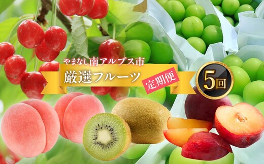 ＜2026年発送分先行予約＞フルーツギフト専門店が選ぶ南アルプスの厳選フルーツ定期便 全5品種（さくらんぼ・桃・貴陽・シャインマスカット・キウイ） ALPAH048
