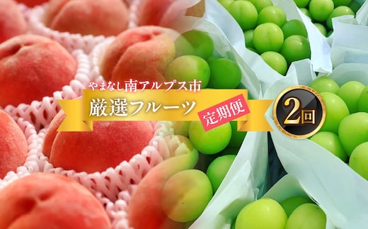 ＜2026年発送分先行予約＞フルーツギフト専門店が選ぶ南アルプスの厳選フルーツ定期便 全2品種（桃・シャインマスカット） ALPAH049
