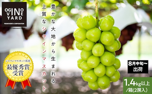 ２０２６年秋収穫先行予約 山梨県産シャインマスカット １．４ｋｇ以上／箱 ２房入 ALPAK006