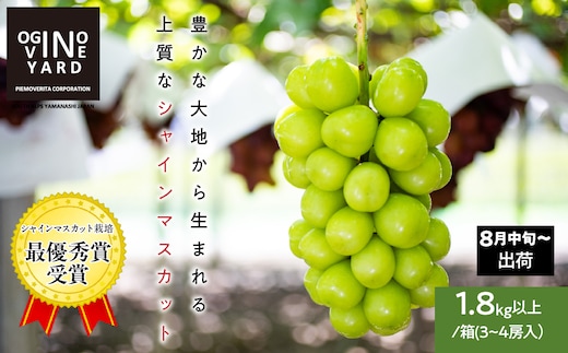 ２０２６年秋収穫先行予約 山梨県産シャインマスカット １．８ｋｇ以上／箱 ３～４房入 ALPAK007