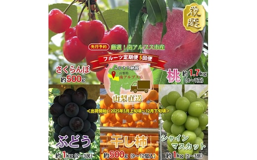 ＜2026年発送分先行予約＞厳選！南アルプス市産 『フルーツ定期５回便』 【さくらんぼ・もも・黒ぶどう・シャインマスカット・干し柿】