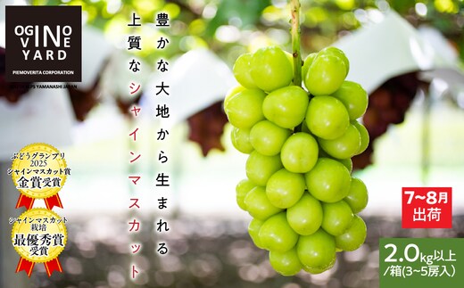 ＜2026年発送先行予約＞山梨県産早期出荷シャインマスカット ２．０ｋｇ以上／箱 ３～５房入 ALPAK012