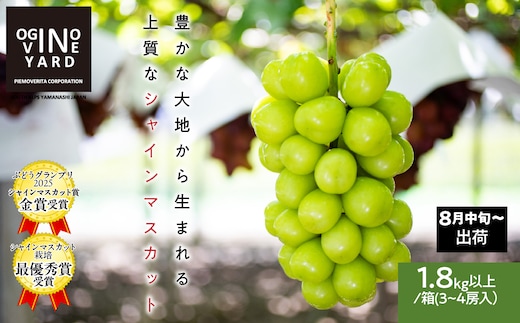２０２６年秋収穫先行予約 山梨県産シャインマスカット １．８ｋｇ以上／箱 ３～４房入 ALPAK007