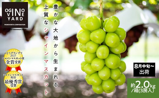 ２０２６年秋収穫先行予約 山梨県産シャインマスカット 約２．０ｋｇ／箱 ３房入 ALPAK008
