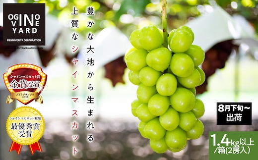 ２０２６年秋収穫先行予約 山梨県産シャインマスカット １．４ｋｇ以上／箱 ２房入 ALPAK006