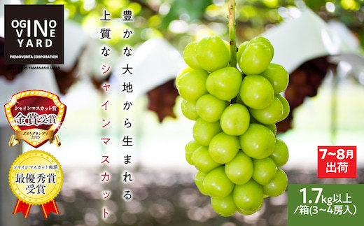 ＜2026年発送先行予約＞山梨県産早期出荷シャインマスカット １．7ｋｇ以上／箱 ３～４房入 ALPAK011